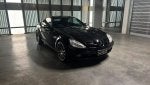 BlackPanther350