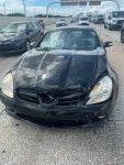 Bad game of Bumper Cars